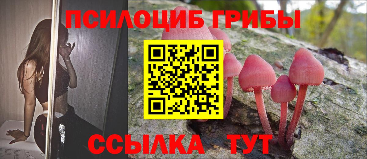 Псилоцибиновые грибы Psilocybine cubensis  Вход с VPN  Ессентуки 